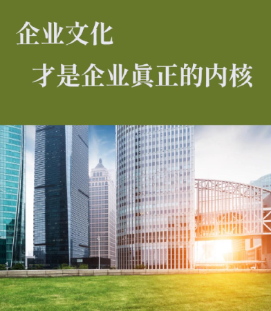微盟汇建站产品核心功能模块与参数配置对比分析